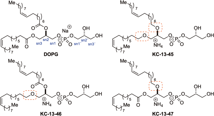 Figure 1