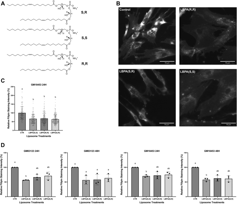 Figure 3