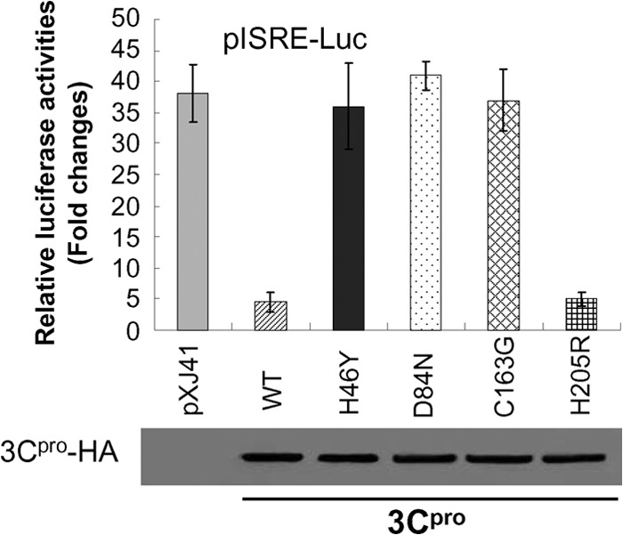 FIG 3