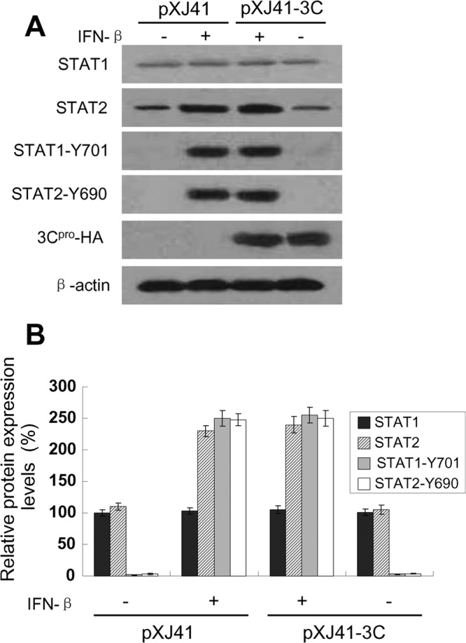 FIG 4