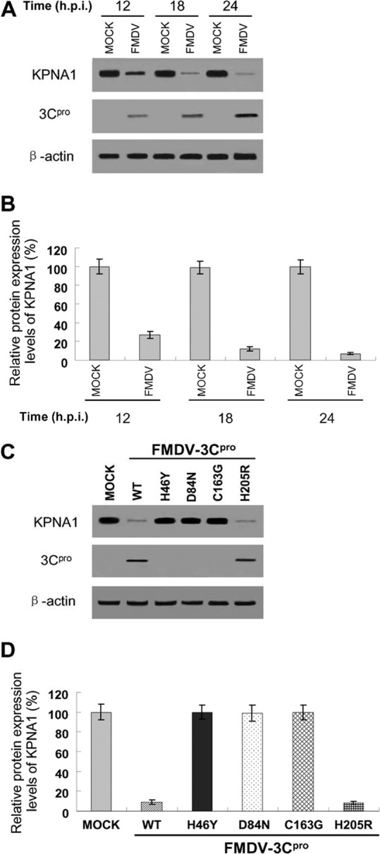 FIG 10