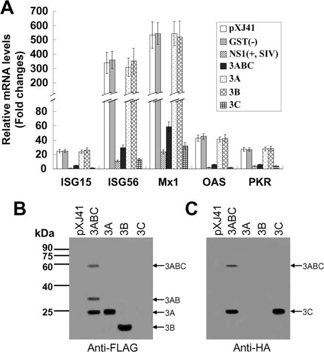 FIG 1