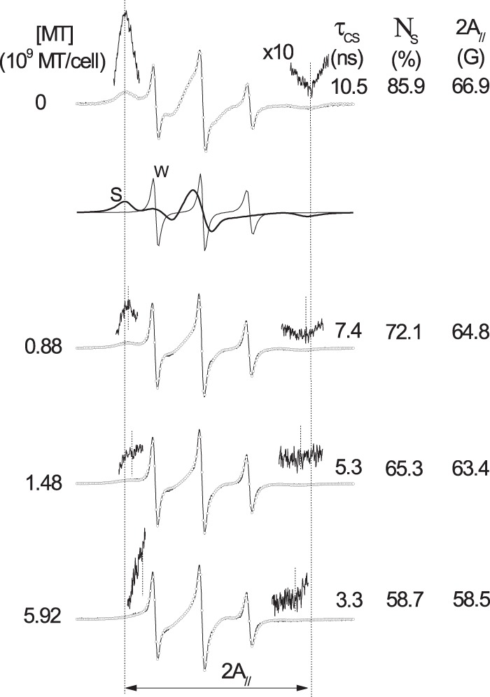 FIG 3