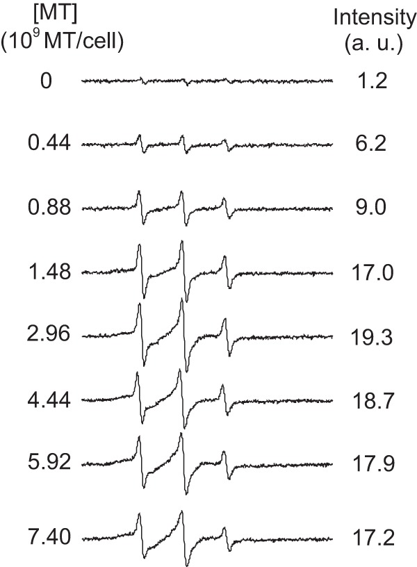 FIG 7