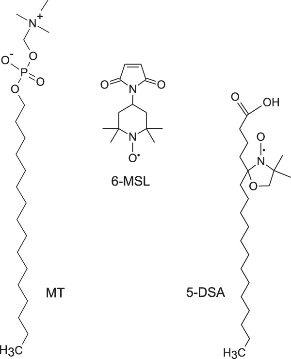 FIG 1