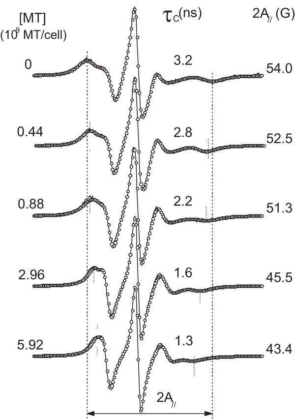 FIG 2