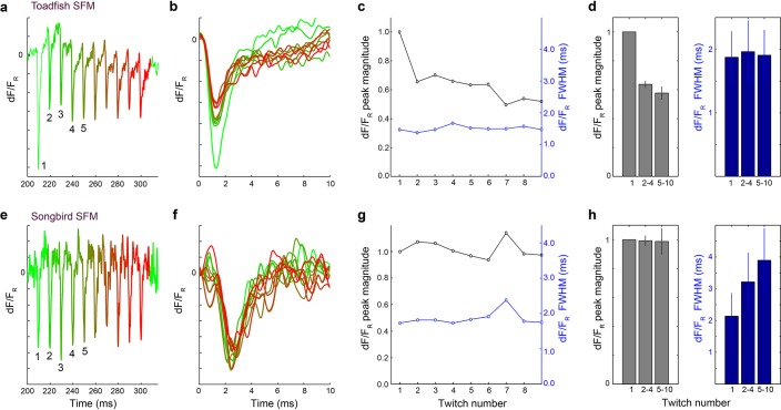 Figure 6—figure supplement 1.