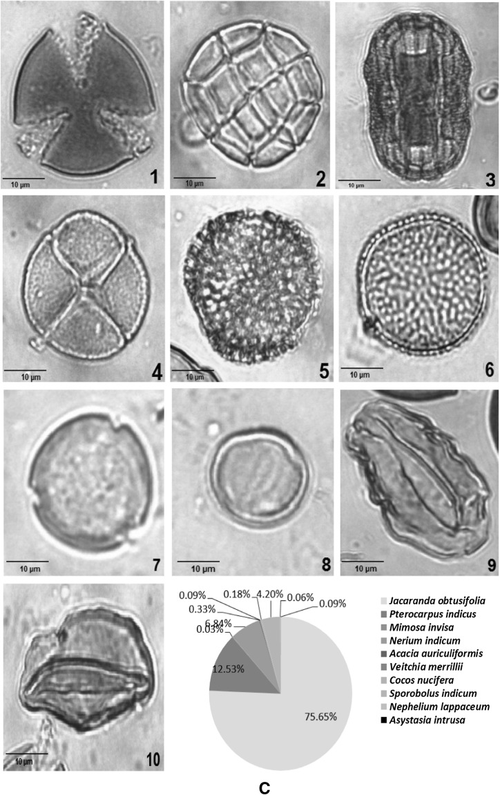 Fig. 2