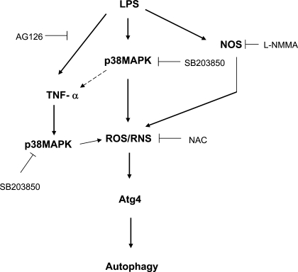 Fig. 9.