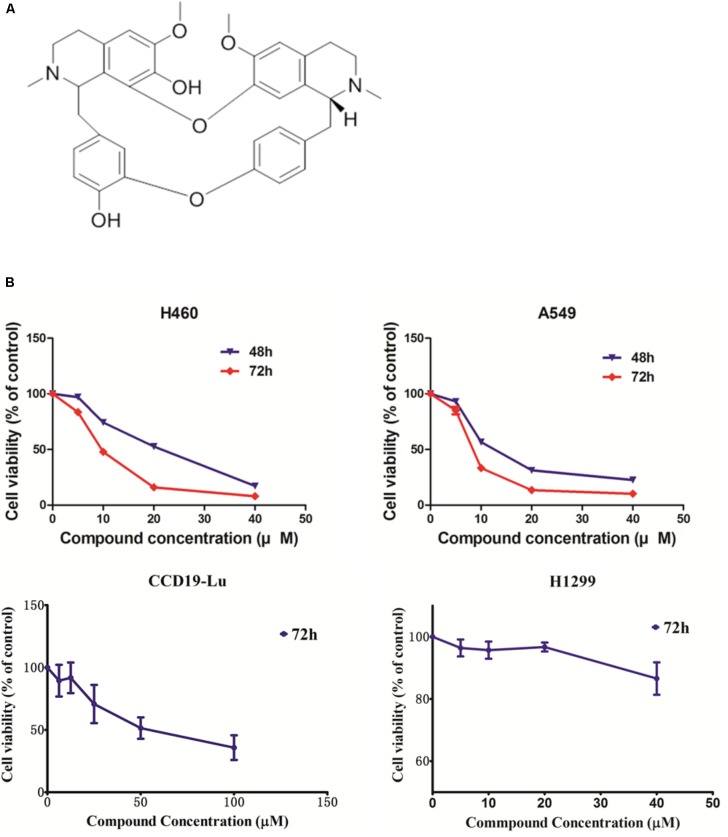 FIGURE 1