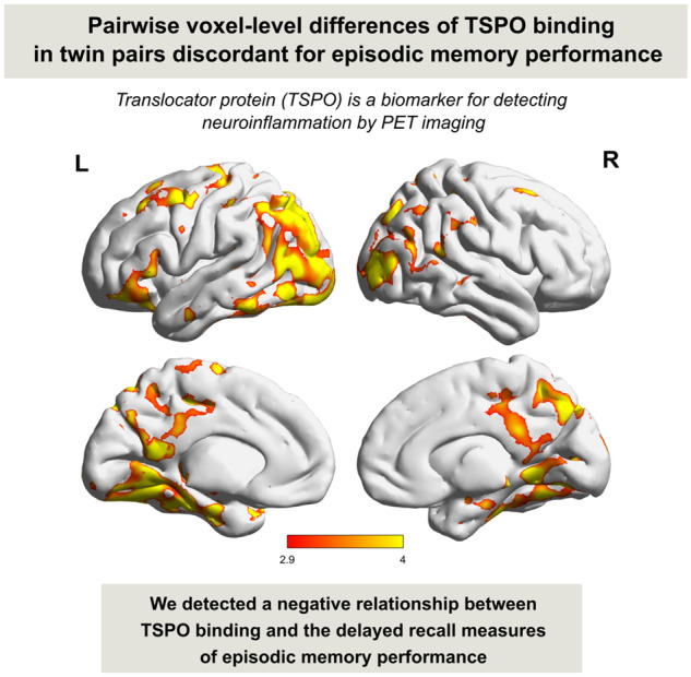 Graphical Abstract