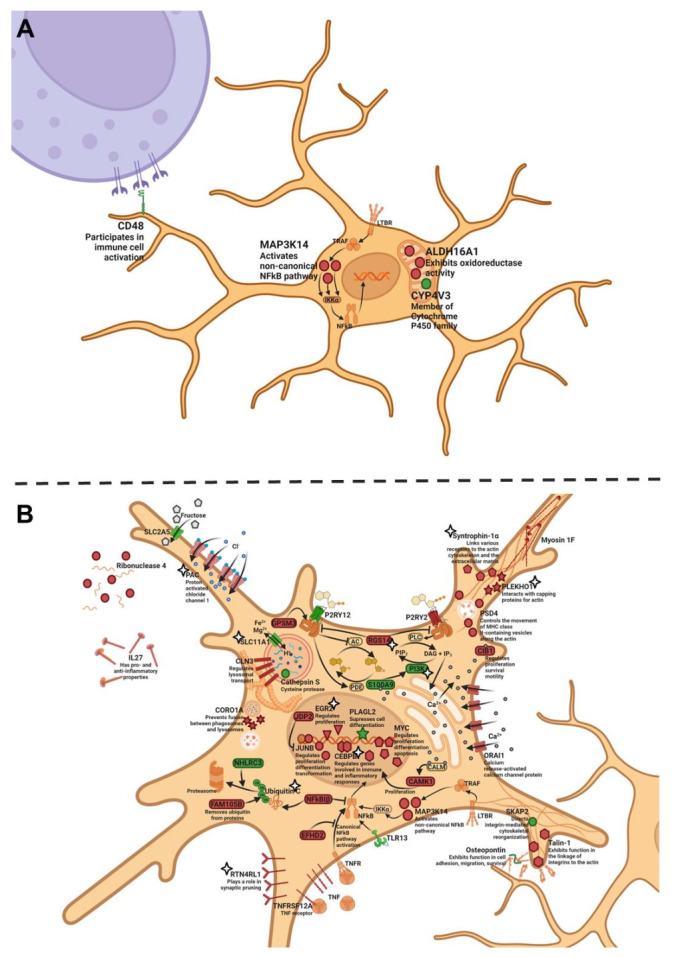 Figure 5