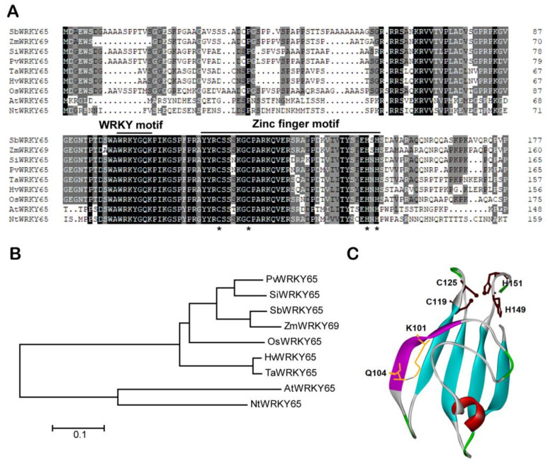 Figure 2