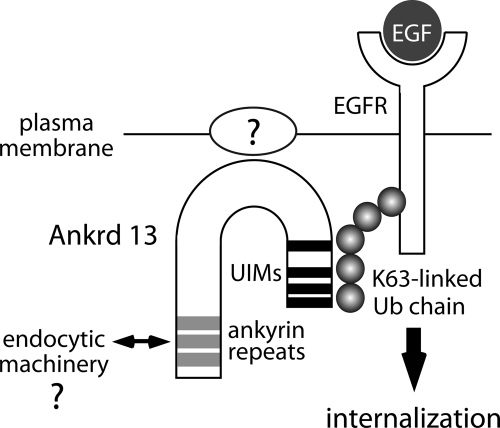 FIGURE 10: