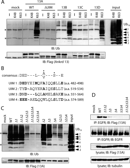 FIGURE 4: