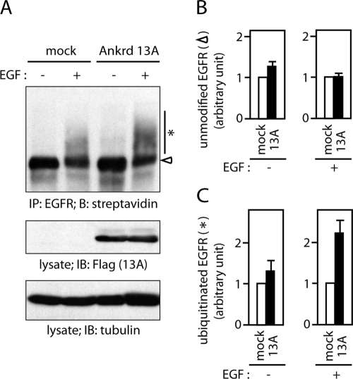 FIGURE 9: