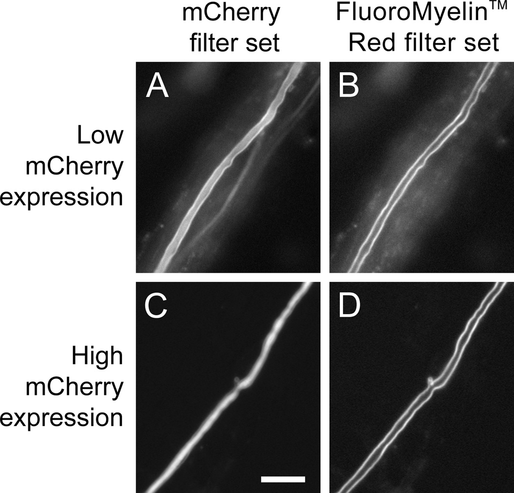 Fig. 8