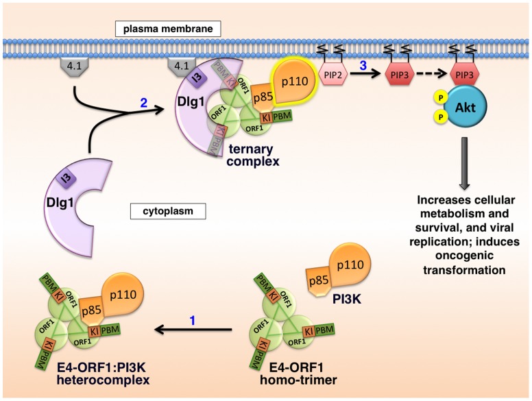 Figure 15