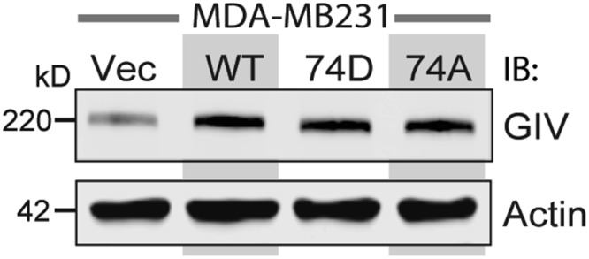 Fig. S4.