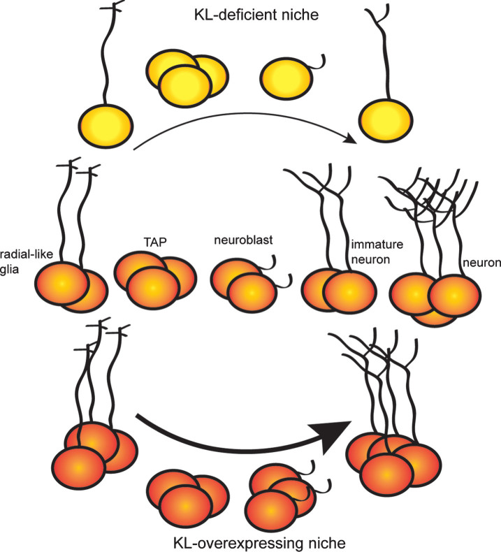 Fig.2