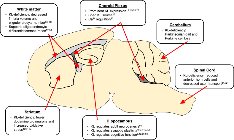 Fig.3