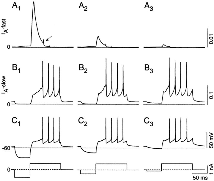 Fig. 10.