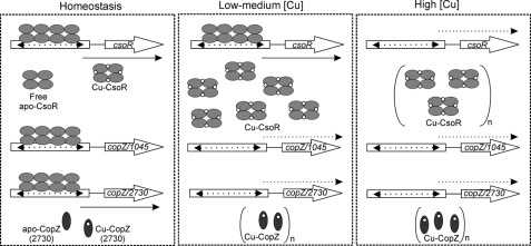 FIGURE 10.