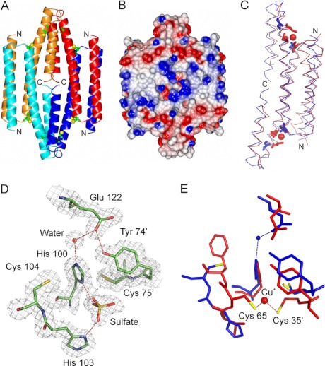 FIGURE 5.