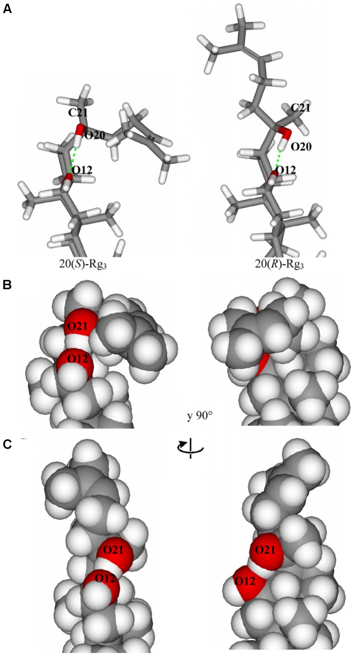 FIGURE 3