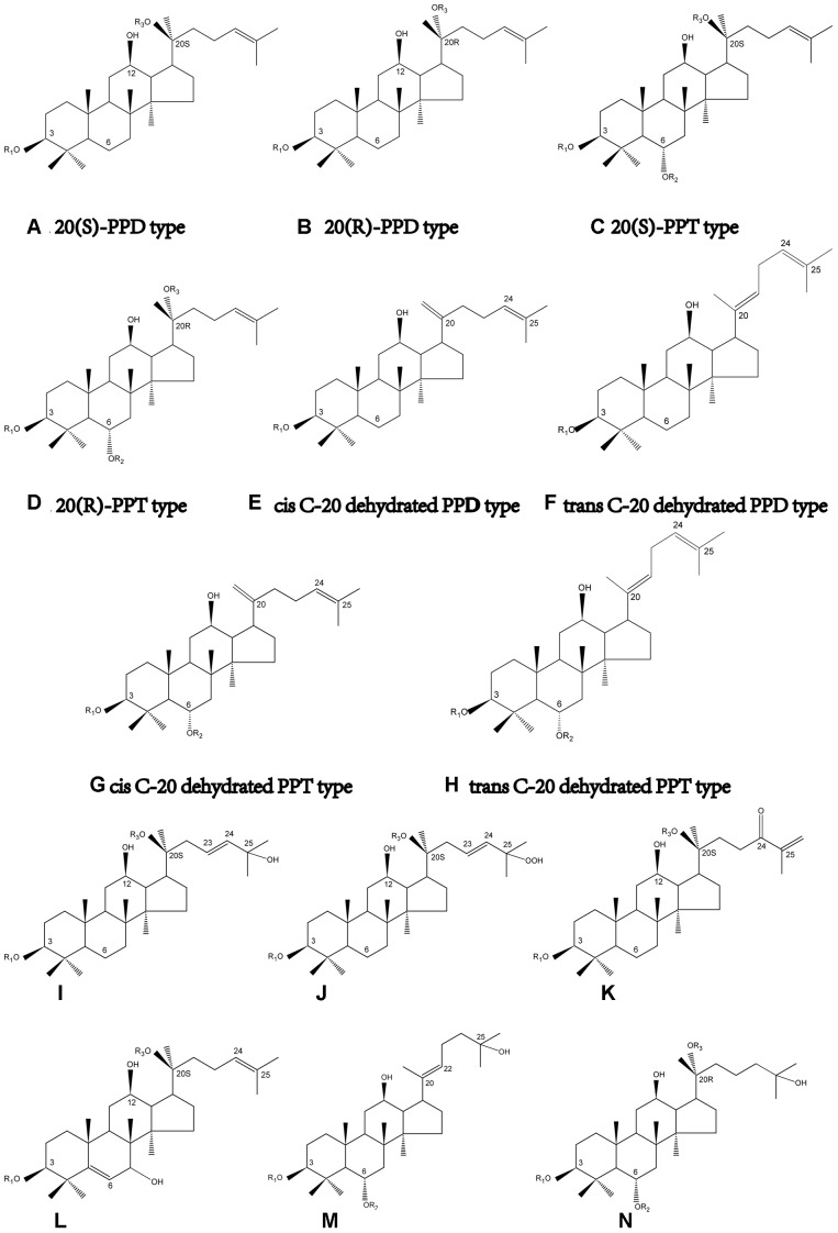 FIGURE 1