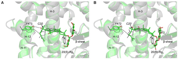 FIGURE 4