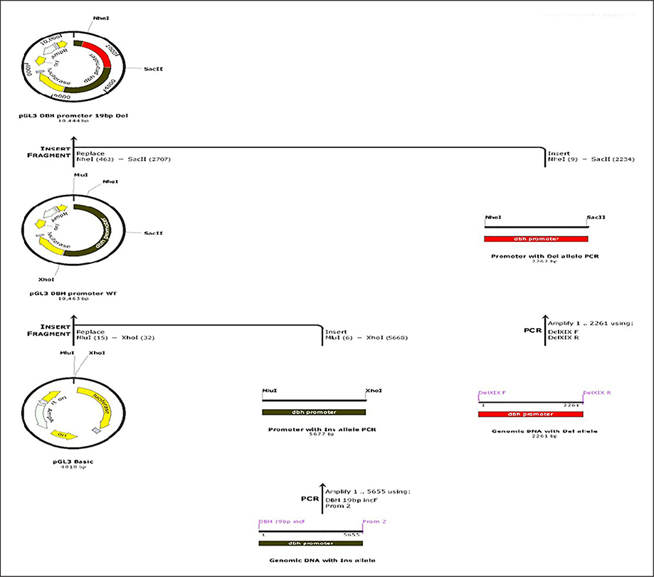 Figure 1: