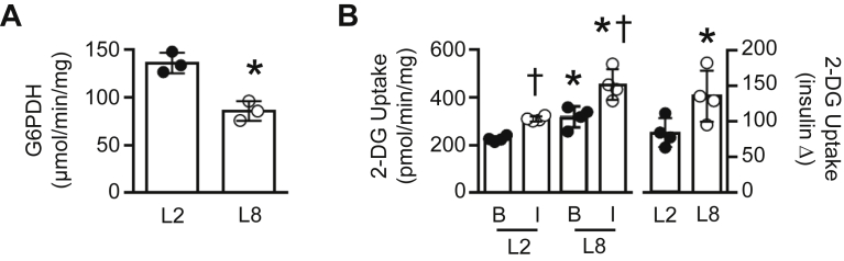 Figure 5