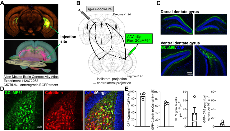 Figure 1