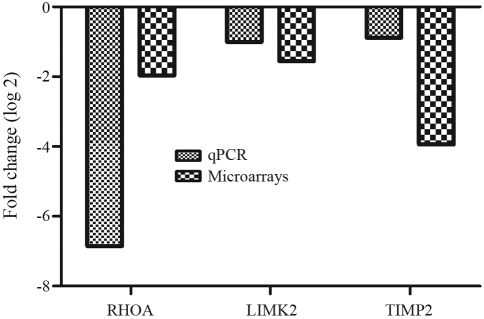 Figure 4