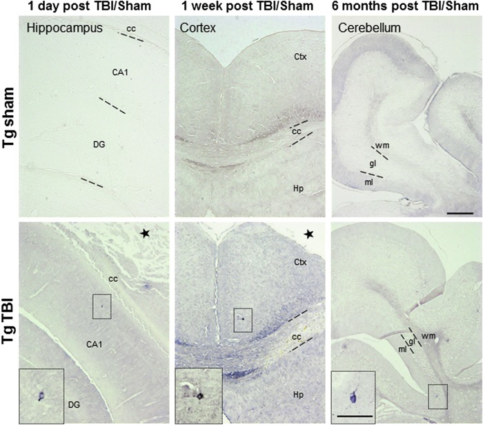 FIG. 6.