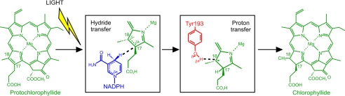 FIGURE 1.