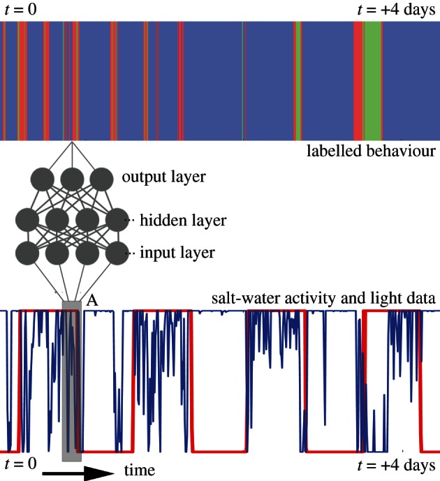 Figure 6.