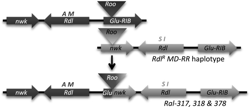 Fig. 6.