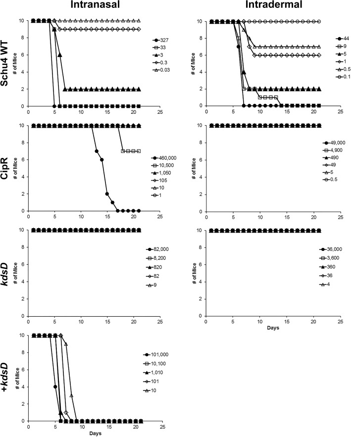 Fig 6