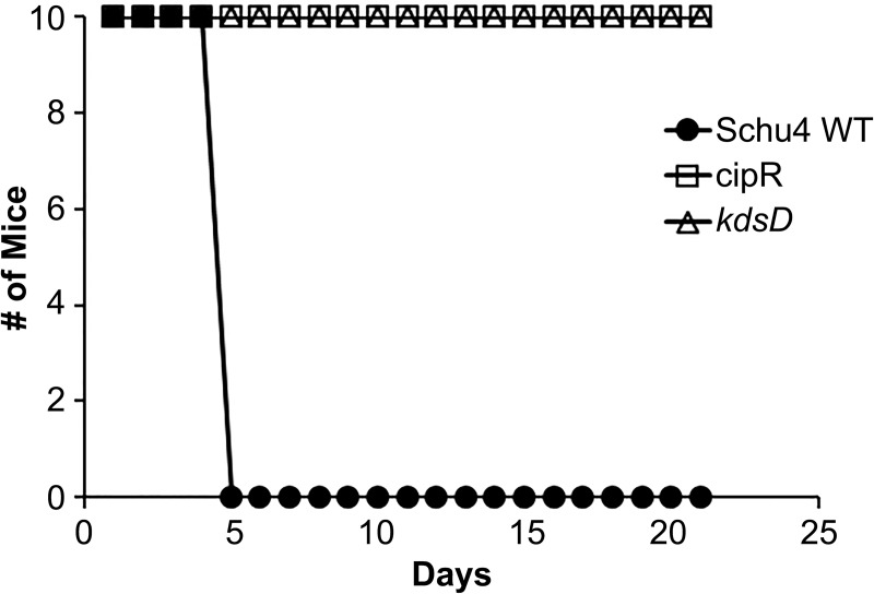 Fig 9