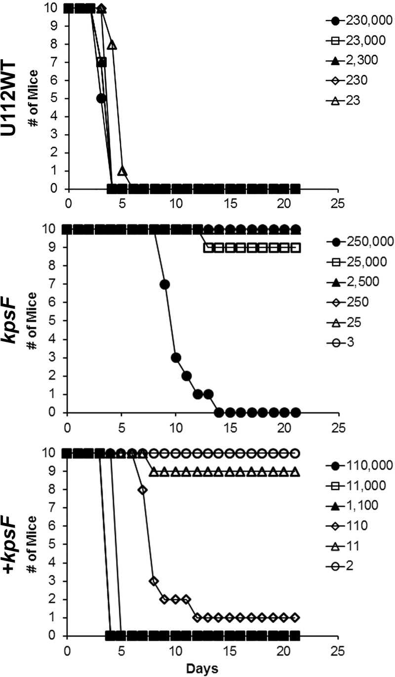 Fig 11