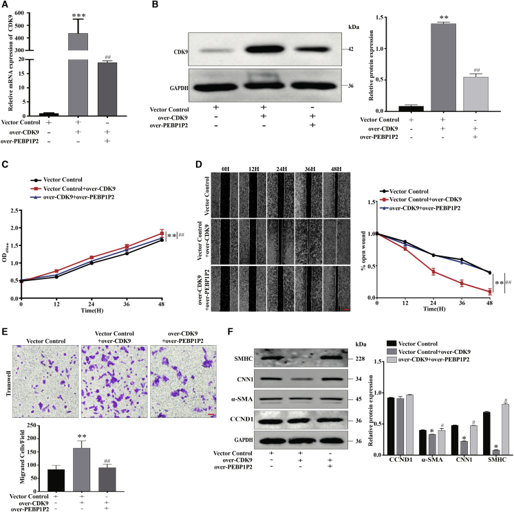 Figure 6