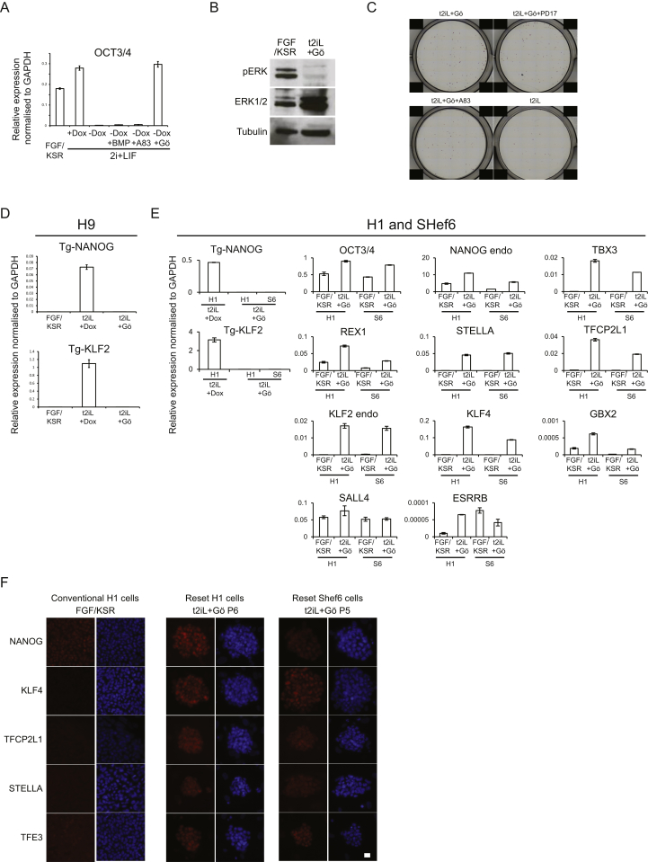 Figure S1