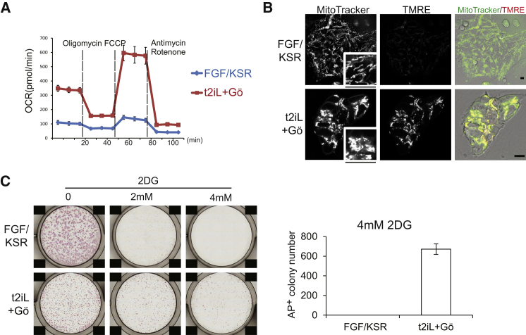 Figure 3