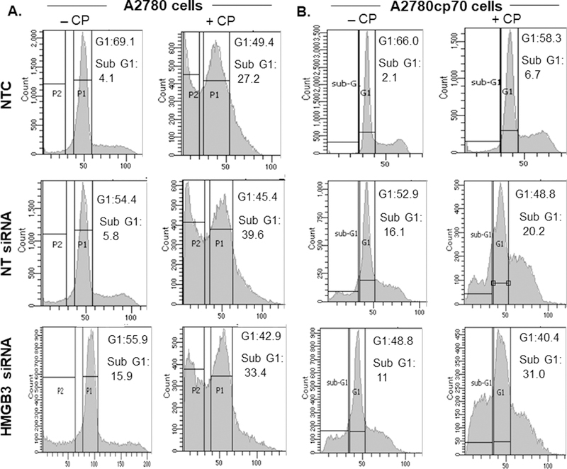 Figure 2: