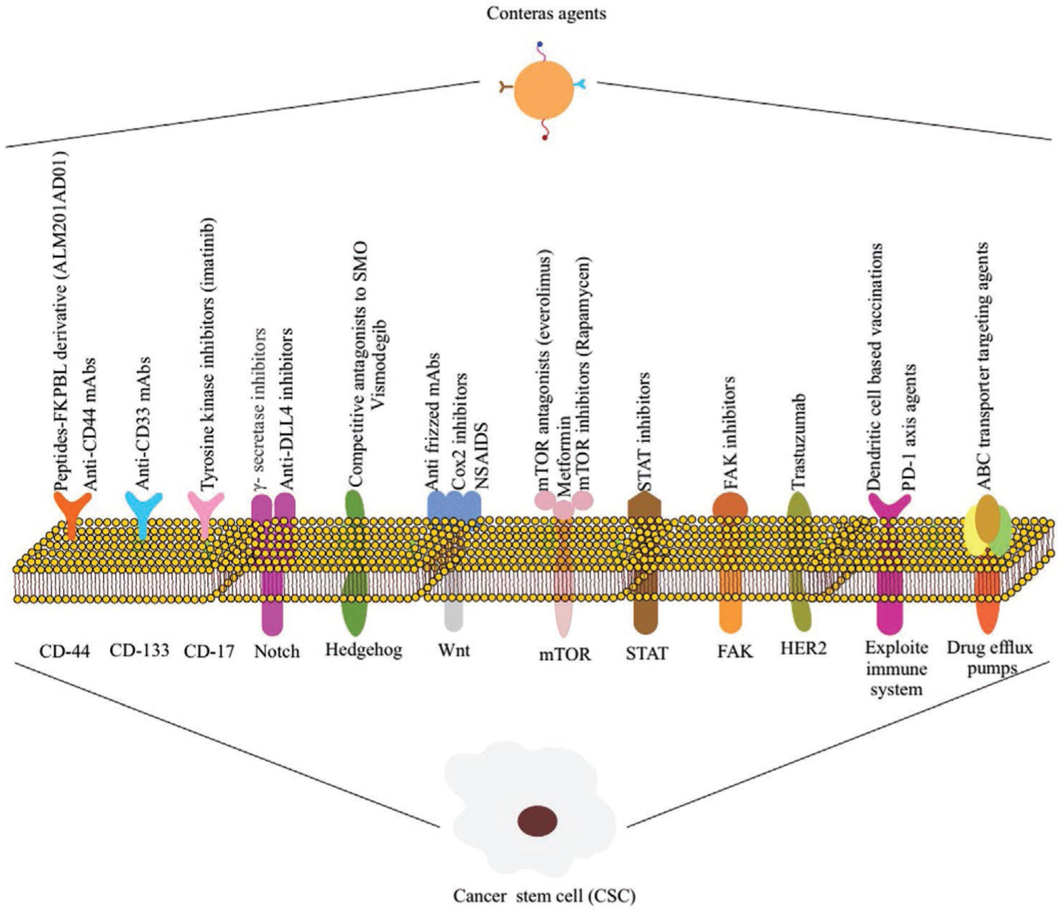 Figure 25.