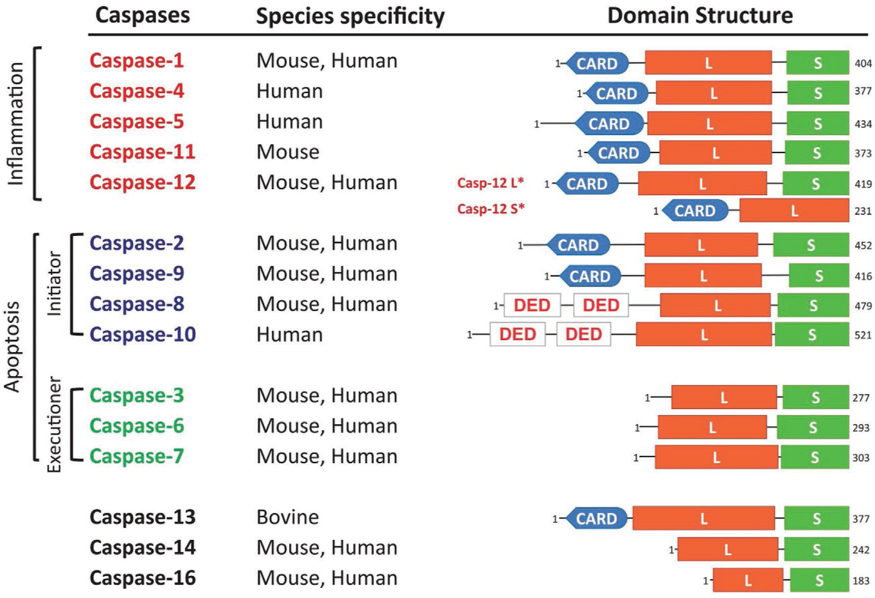 Figure 14.