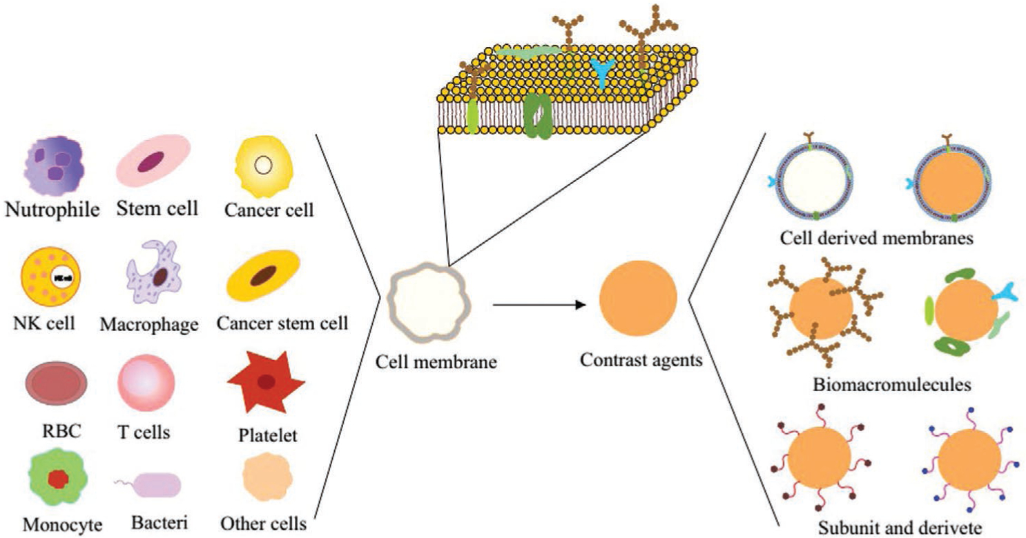 Figure 23.