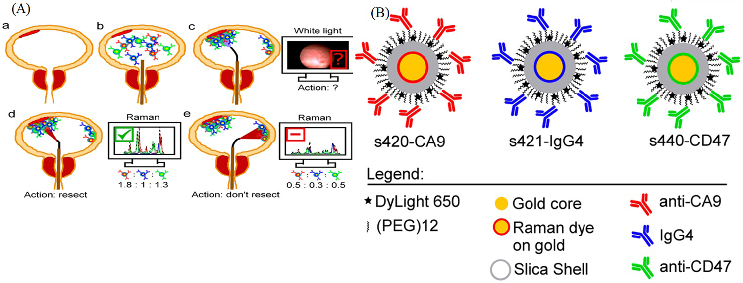 Figure 20.